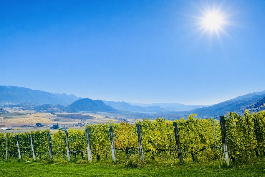 <strong>Oliver & Osoyoos</strong> Wine Tour <strong>Oliver & Osoyoos</strong> Wine Tour